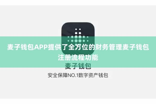 麦子钱包APP提供了全方位的财务管理麦子钱包注册流程功能