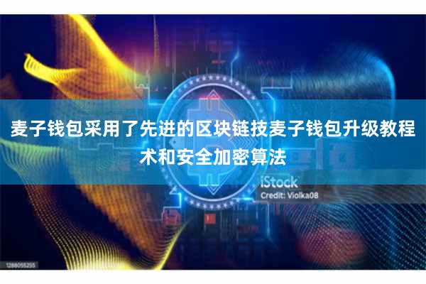 麦子钱包采用了先进的区块链技麦子钱包升级教程术和安全加密算法