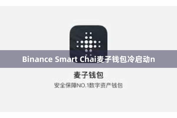 Binance Smart Chai麦子钱包冷启动n