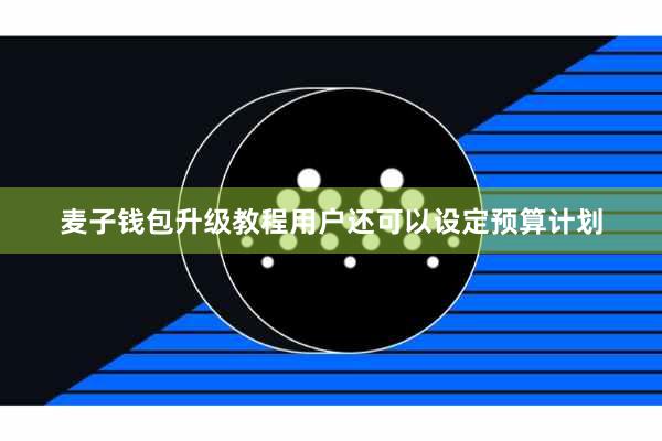麦子钱包升级教程用户还可以设定预算计划