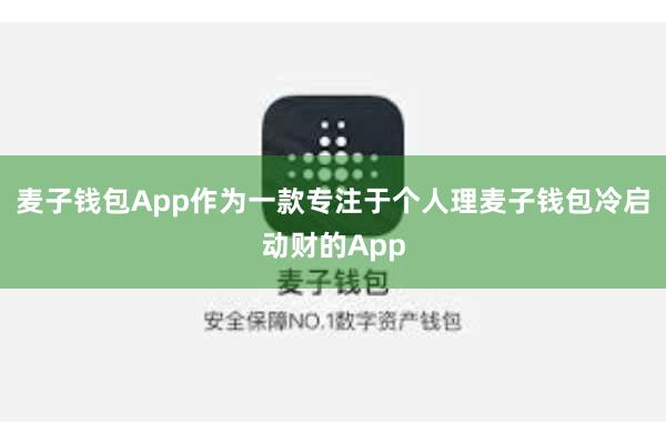 麦子钱包App作为一款专注于个人理麦子钱包冷启动财的App