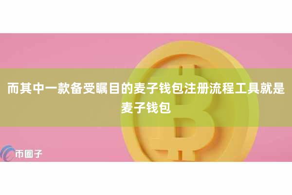 而其中一款备受瞩目的麦子钱包注册流程工具就是麦子钱包