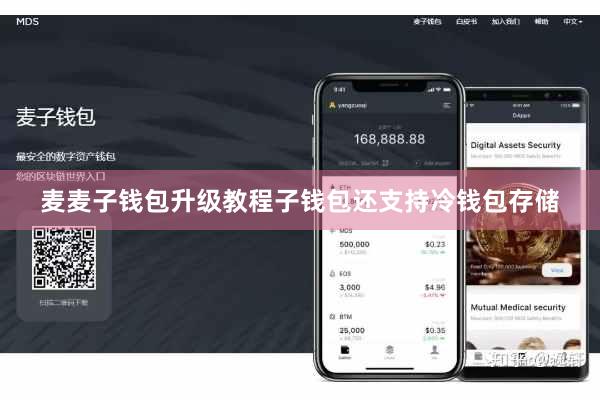 麦麦子钱包升级教程子钱包还支持冷钱包存储