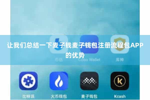 让我们总结一下麦子钱麦子钱包注册流程包APP的优势