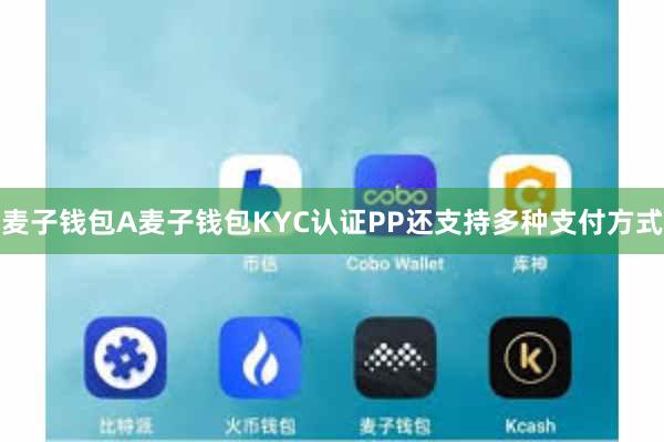 麦子钱包A麦子钱包KYC认证PP还支持多种支付方式