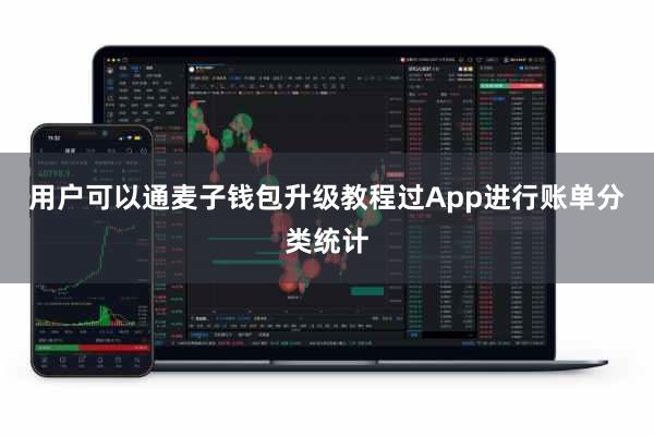 用户可以通麦子钱包升级教程过App进行账单分类统计