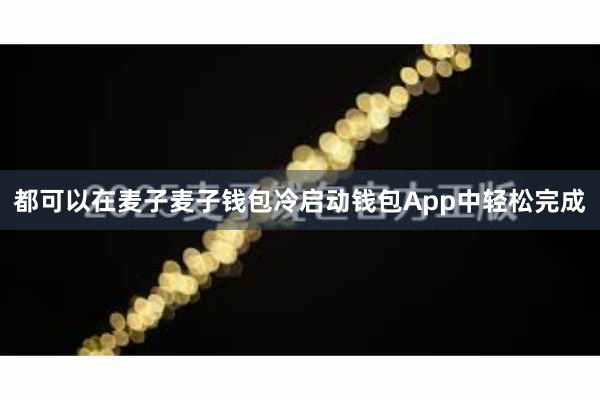 都可以在麦子麦子钱包冷启动钱包App中轻松完成
