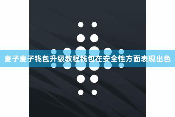 麦子麦子钱包升级教程钱包在安全性方面表现出色