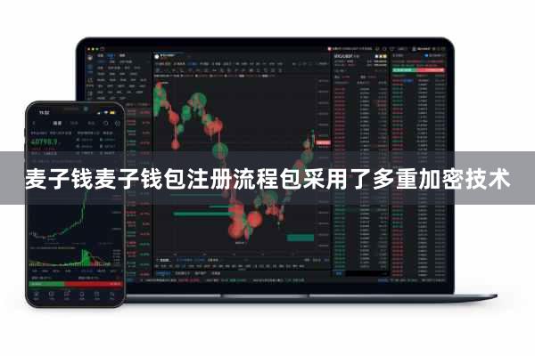 麦子钱麦子钱包注册流程包采用了多重加密技术