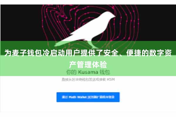 为麦子钱包冷启动用户提供了安全、便捷的数字资产管理体验