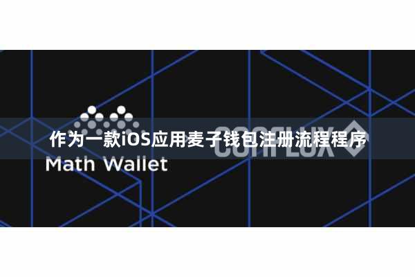 作为一款iOS应用麦子钱包注册流程程序