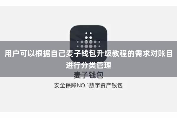 用户可以根据自己麦子钱包升级教程的需求对账目进行分类管理