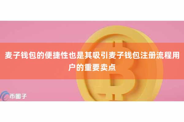麦子钱包的便捷性也是其吸引麦子钱包注册流程用户的重要卖点