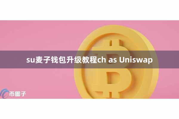 su麦子钱包升级教程ch as Uniswap