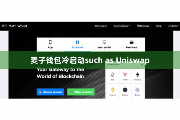 麦子钱包冷启动such as Uniswap