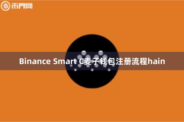 Binance Smart C麦子钱包注册流程hain