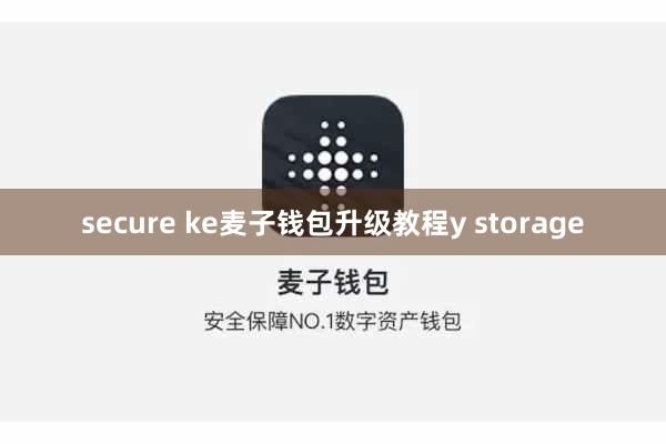 secure ke麦子钱包升级教程y storage