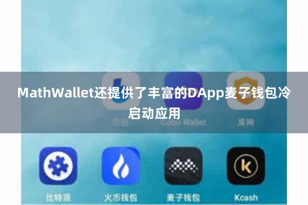 MathWallet还提供了丰富的DApp麦子钱包冷启动应用