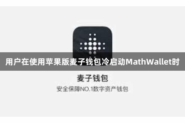 用户在使用苹果版麦子钱包冷启动MathWallet时