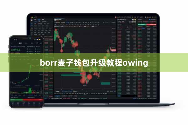 borr麦子钱包升级教程owing