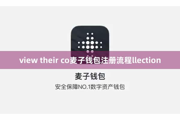 view their co麦子钱包注册流程llection