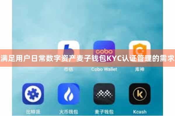 满足用户日常数字资产麦子钱包KYC认证管理的需求