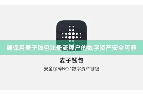 确保用麦子钱包注册流程户的数字资产安全可靠