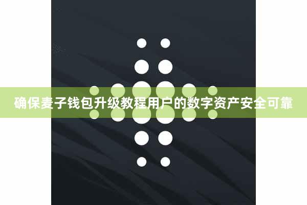确保麦子钱包升级教程用户的数字资产安全可靠