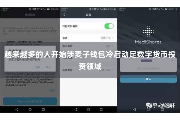 越来越多的人开始涉麦子钱包冷启动足数字货币投资领域