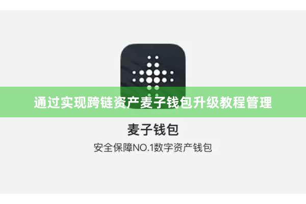 通过实现跨链资产麦子钱包升级教程管理