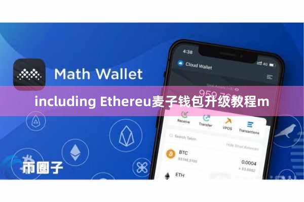 including Ethereu麦子钱包升级教程m